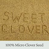 Garden Lawncare Guy Micro Clover Seed UK Pipolina - Ground Cover 15m2 view 3