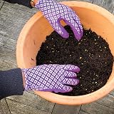 Miracle-Gro All Purpose Continuous Release Plant Food 1 kg Green Brown view 5