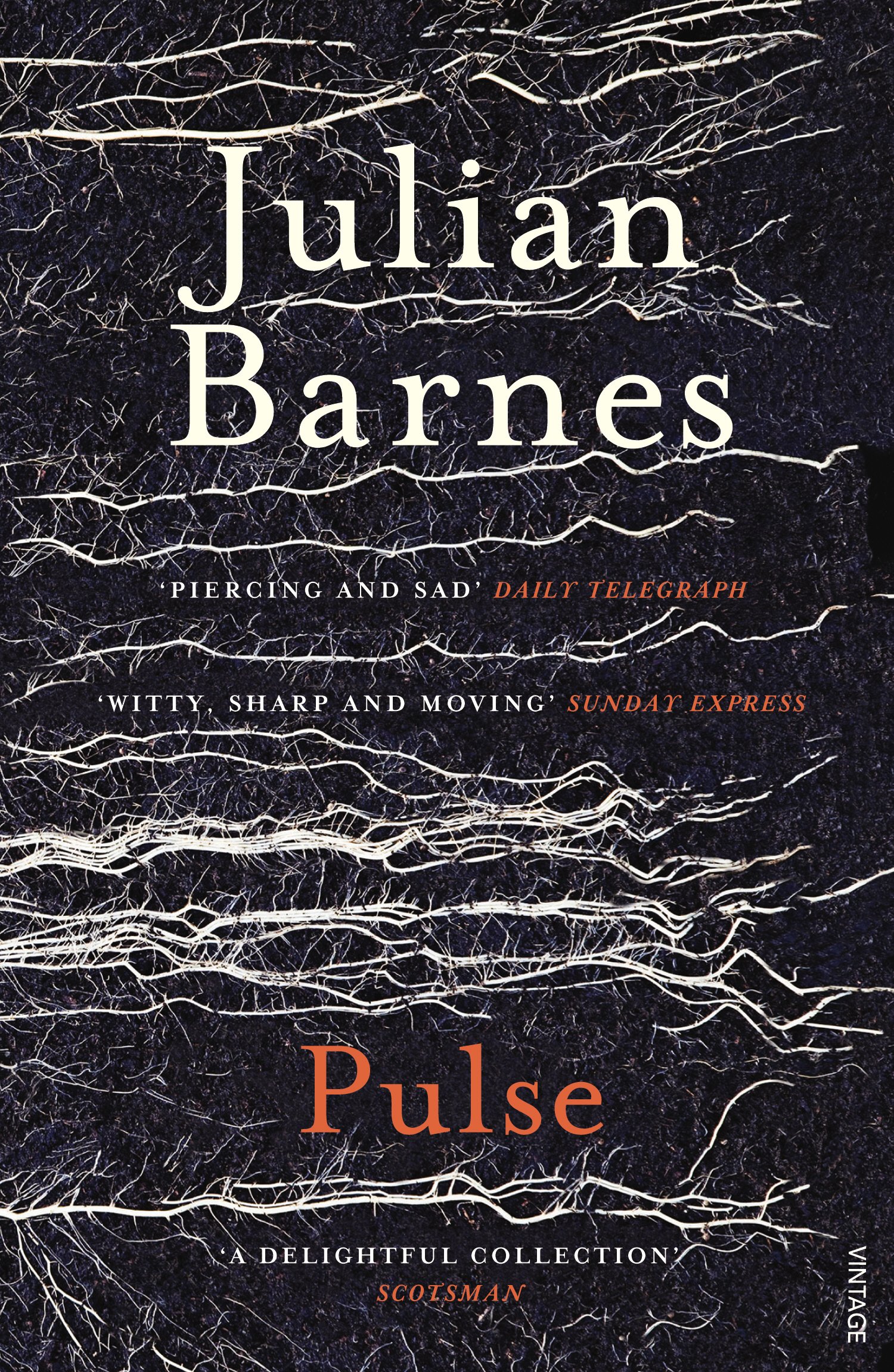 Pulse Amazon Co Uk Barnes Julian Books