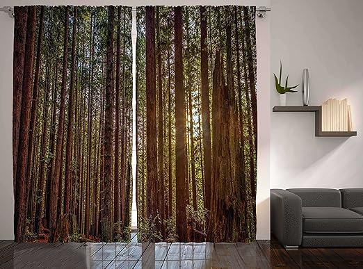 Amazon Com Ambesonne Forest Curtains Redwood Forest In