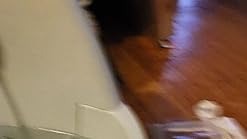 Pet Supplies : Drinkwell Big-Dog Pet Fountain : Pet Self Waterers