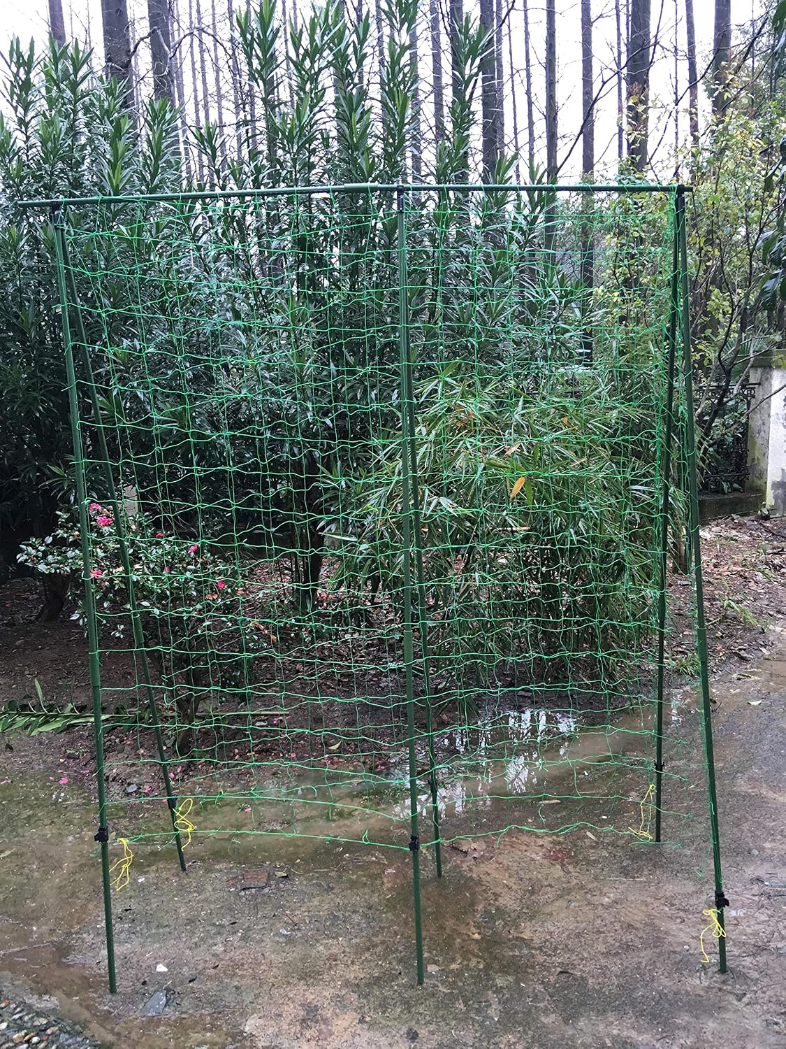 Pumpkin Cucumber High Heavy Duty A Frame Trellis With Net Height 70 Green Plant Support Garden Structure For Climbing Plants Tomato Ladder Trellis Plant Support Structures Trellises