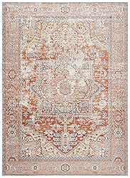 SAFAVIEH Aria Collection Area Rug - 9' x 12', Rust