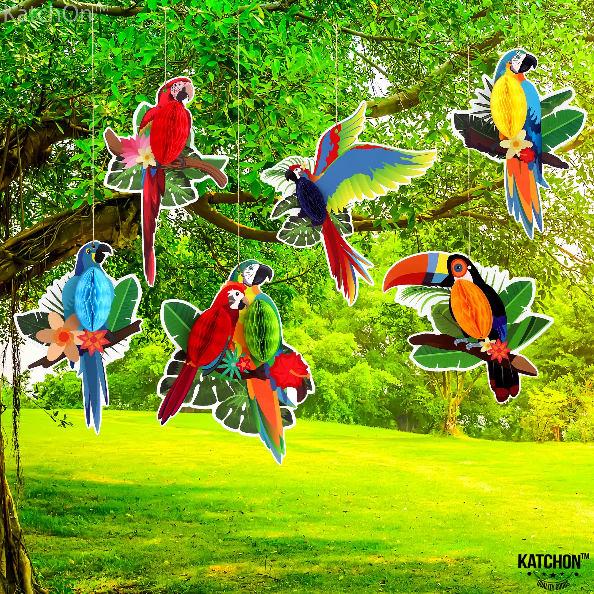 KatchOn, Tropical Birds Honeycomb Cutouts - Big, Pack of 6 | Jungle Theme Decorations, Luau Party Decorations | Tropical Party Decorations, Hawaiian Party Decorations | Rainforest Decor, Tiki Party