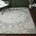 Balta Rugs Townley Medallion Flatweave Indoor/Outdoor Area Rug