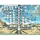 Amazonit Il Mio Albero Genealogico Informazioni Fonti E