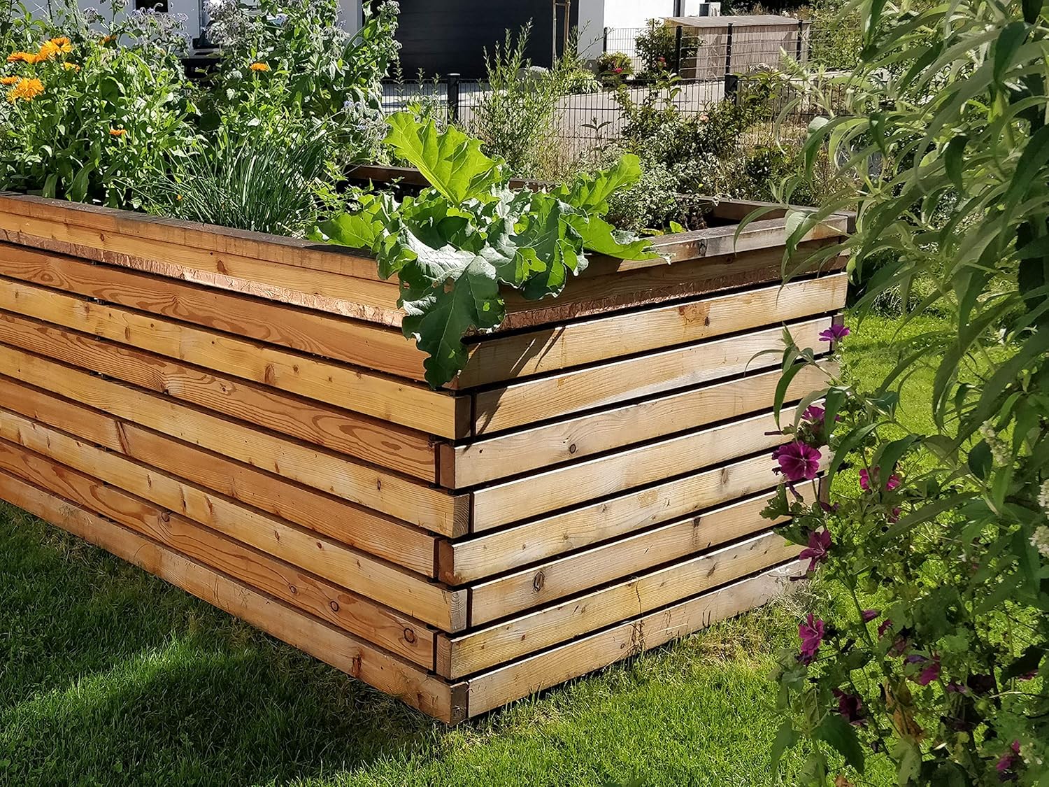 Gartenfrosch Rana de jardín para construcción Propia (180 x 120 cm ...