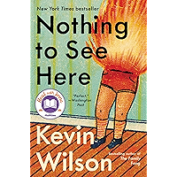 Nothing to See Here book cover
