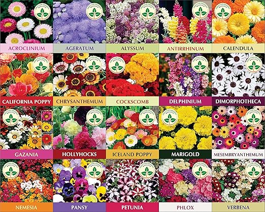 Only For Organic Twenty Winter Flower Seeds(4800+ Seeds) With Cocopeat Block And Instruction Manual