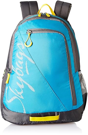 Skybags Blue Casual Backpack (BPGRO5ELBU)