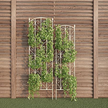 Amazon Com Pure Garden 50 Lg5081 White Garden Trellis For Climbing Plants Garden Outdoor