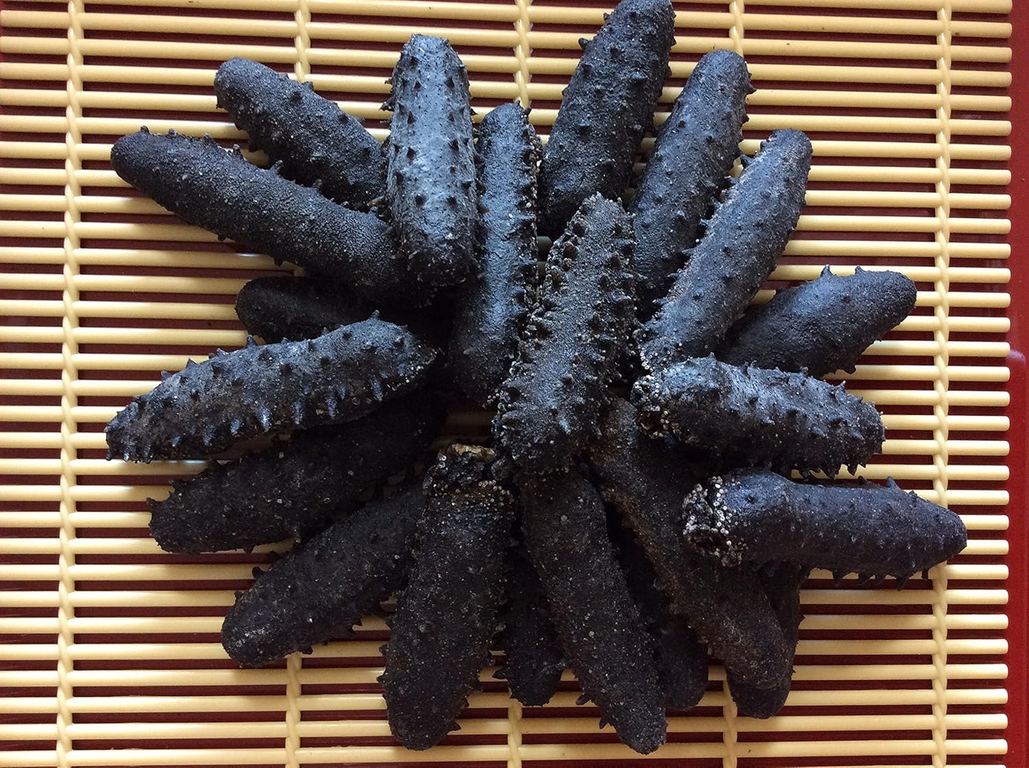 Amazon 乾燥なまこ 500g70個前後入 Sサイズa級品 東成なまこや 塩辛 珍味 通販