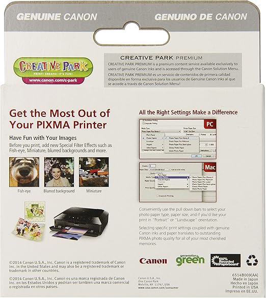 canon 251 ink amazon