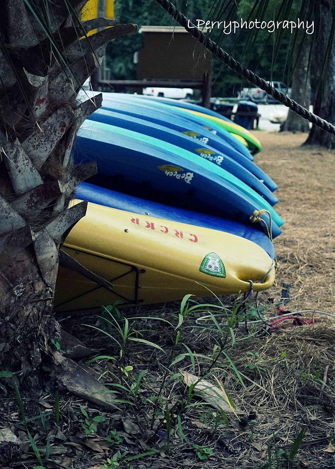 Kayak Rentals