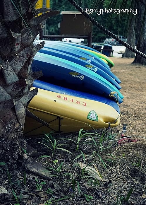 Kayak Rentals