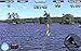 iFishing 3