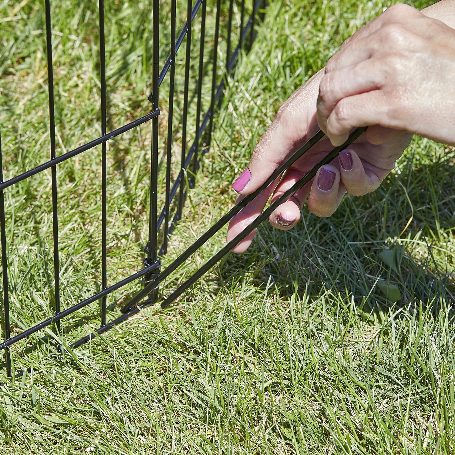 MidWest Homes for Pets Folding Metal Exercise Pen / Pet Playpen : Dog Exercise Pen : Pet Supplies
