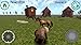Bear Simulator Madness 3D