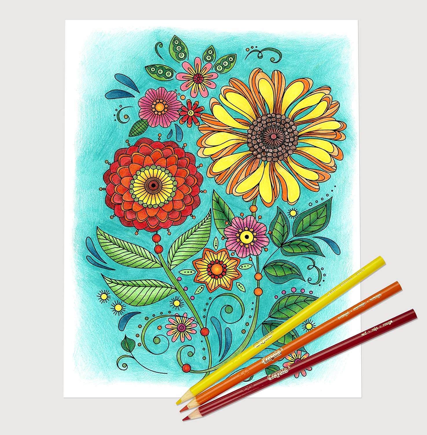 Crayola Colored Pencils, Adult Coloring, Stocking Stuffers for Teens, 50 Count: Toys & Games