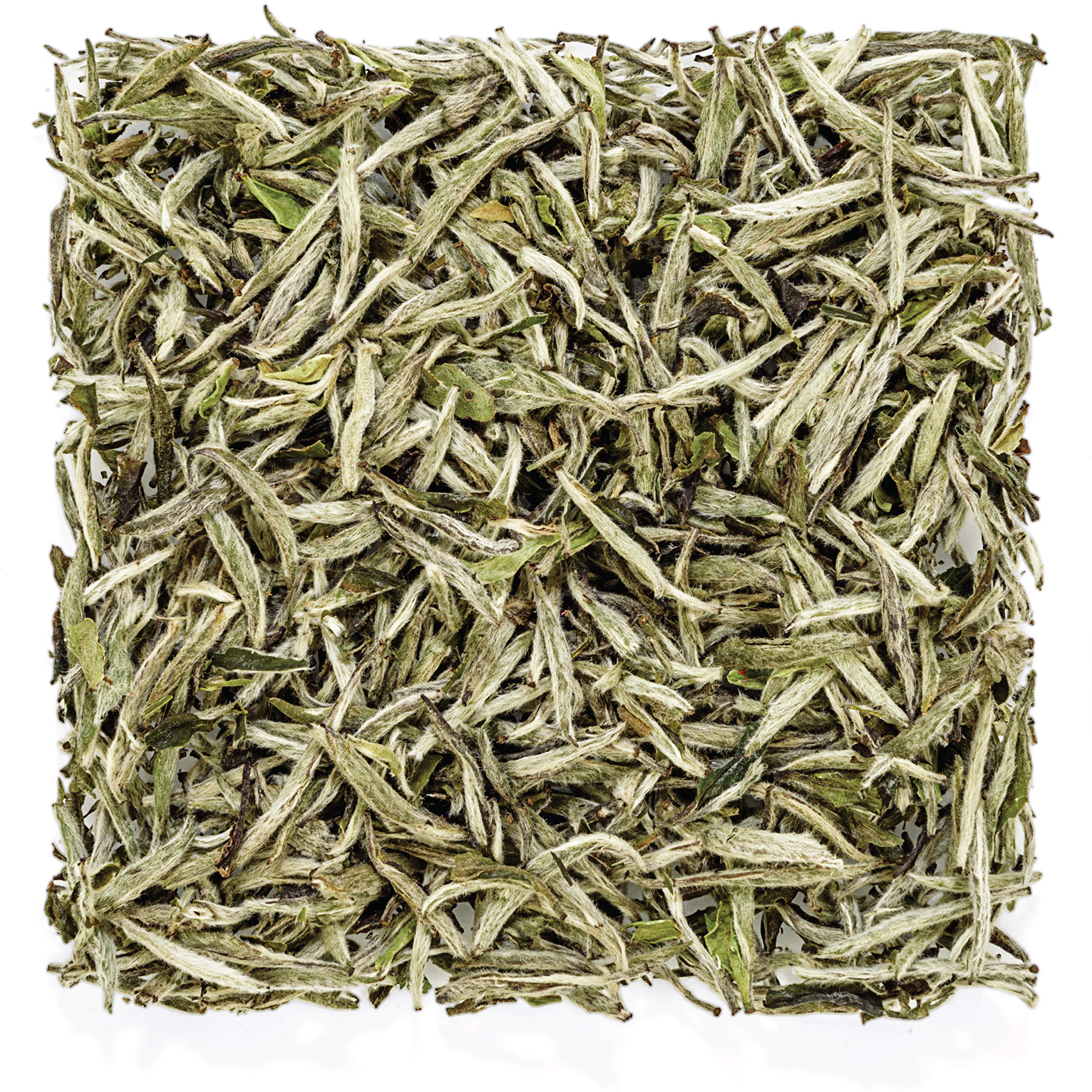 Tealyra - Premium White Silver Needle Tea - Bai Hao Yinzhen - Grown in Fujian China - Superior Chinese Silver Tip White Tea - Loose Leaf Tea - Caffeine Level Low - 100g
