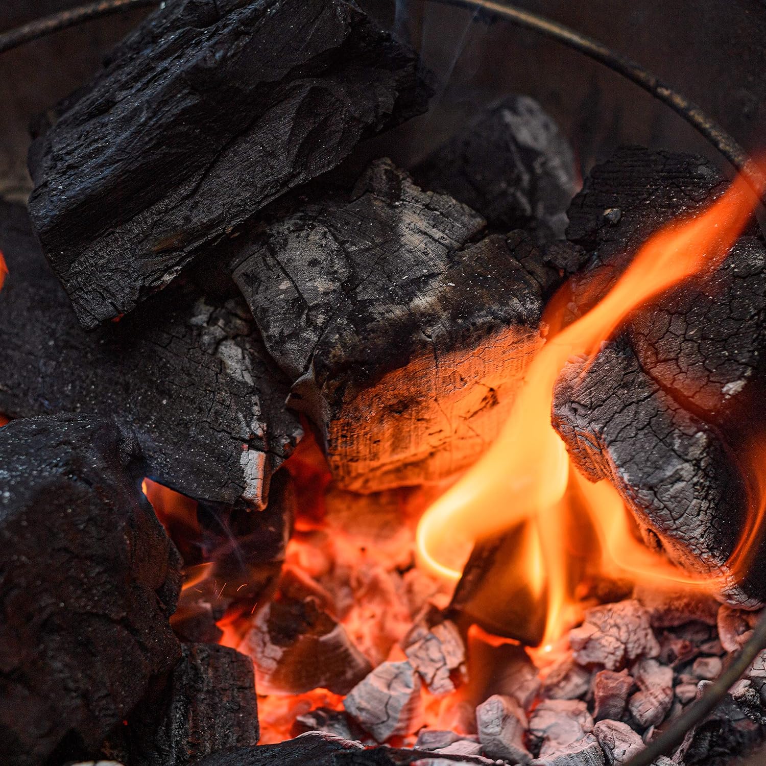 Kamado Joe KJFS Fire Starters, 24 counts : Charcoal Starters : Garden & Outdoor