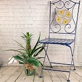 All Occasions Pineapple Plant With Fruit 12cm Pot Ananas Bromelia Home Living view 2