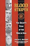 Blood Stripes: The Grunt's View of the War in Iraq
