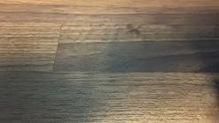 Amazon.com: ATUMTEK Selfie Stick Tripod, 360° Rotation Extendable