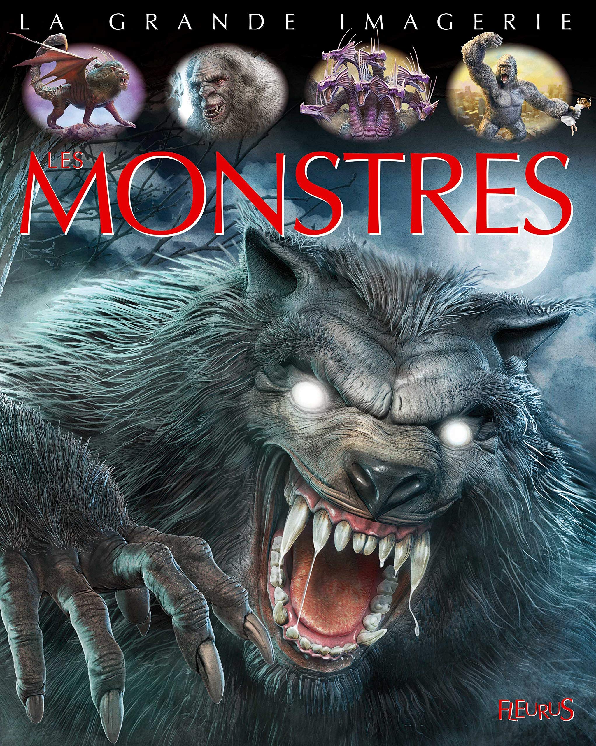 Les Monstres La Grande Imagerie French Edition Delaroche Jack Amazon Com Books