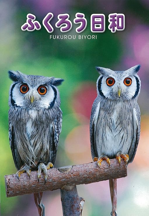 Amazon Co Jp ふくろう日和 Dvd Dvd ブルーレイ 掛川花鳥園 富士花鳥園のふくろうたち 加藤祐一