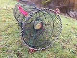 Fishkit Ltd UK Legal Collapsible Crayfish Trap Mesh 12mm 95mm Entry view 2