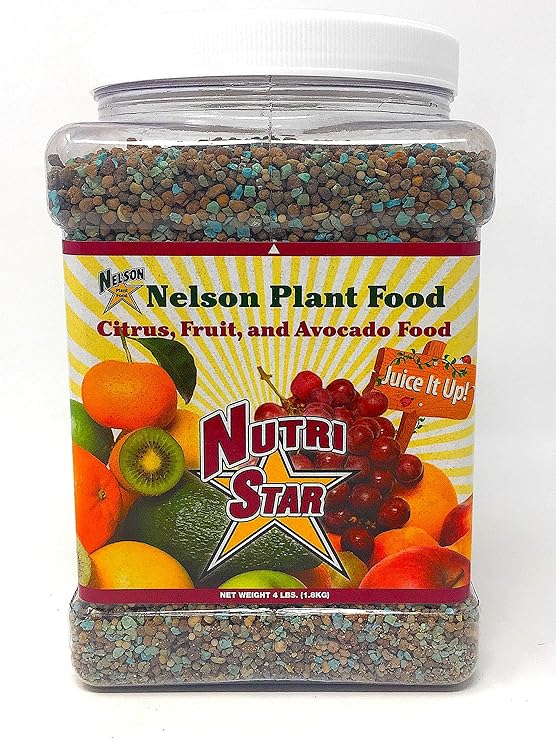 Nelson Citrus Fruit and Avocado Tree Plant Food In Ground