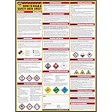 How To Read A Safety Data Sheet (SDS/MSDS) Poster, 24 x 33 Inch, UV Coated Paper (Poster)