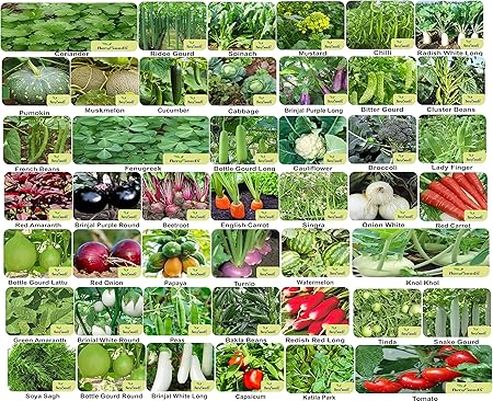 Aero Seeds 45 Variety (2580+ seeds) Of Vegetable Seeds