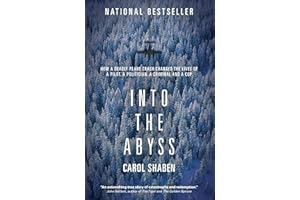 Into the Abyss: How a Deadly Plane Crash Changed the Lives of a Pilot, a Politician, a Criminal and a Cop