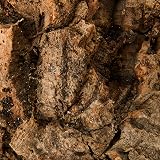 Komodo Habitat Bark Medium 28x18cm Natural Cork for Reptiles view 2