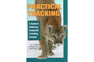 Practical Tracking