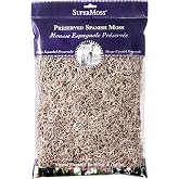 SuperMoss (26914) Spanish Moss Preserved, Natural, 8oz (200 cubic inch)