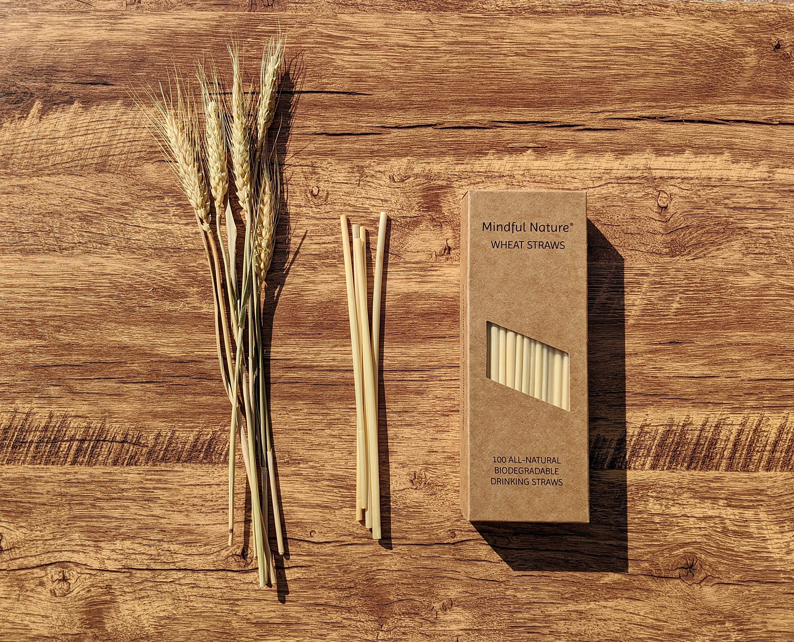Mindful Nature® Wheat Straws - 100 All-Natural Drinking Straws - Single use, Disposable, Biodegradable, and Compostable - Image 4