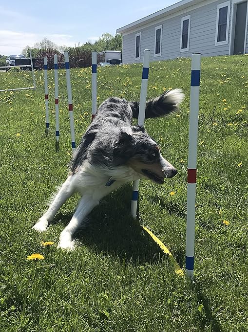 agility weave poles