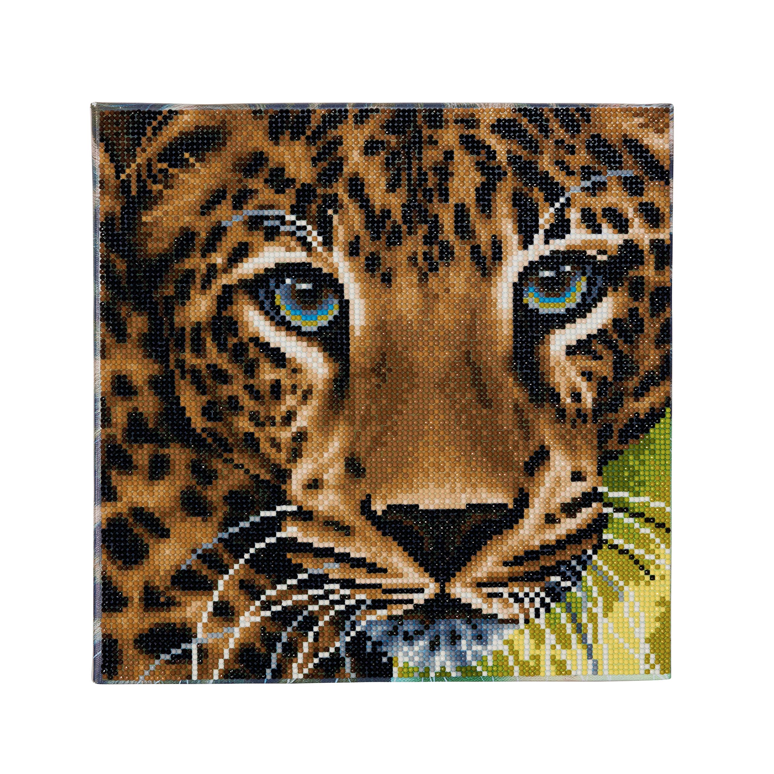 Crystal Art Leopard 30x30cm Framed Crystal Art Kit