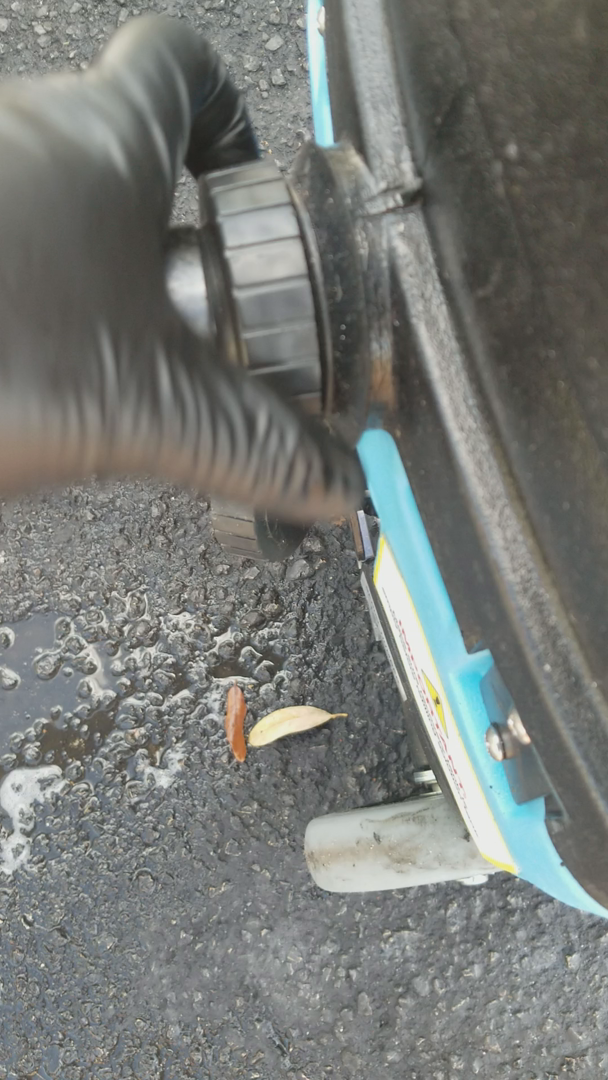 Car Carpet Extractor Amazon / LTD 12 Speedster Carpet Box Extractor