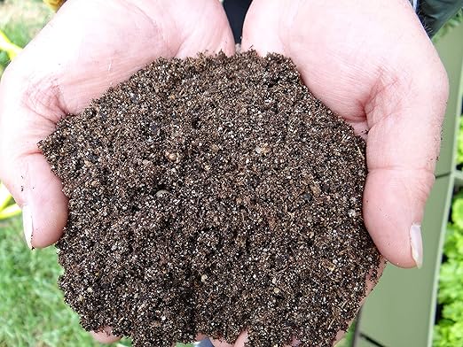 humus de lombriz amazon