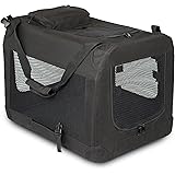 Necessary travel accessories