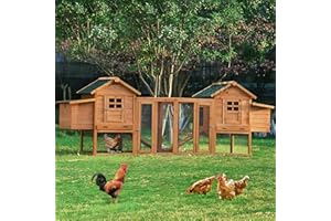 PETONLINE 123.6" Chicken Coop Hen House with Nesting Boxes Wooden Small Animal Cage for Chicks Outdoor Rabbit Hutch Bunny Cage with 2 Run Play Area, Ramps, Waterproof Roof & Pull Out Tray Auburn