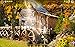 Hidden Objects Quest 11: Autumn Harvest