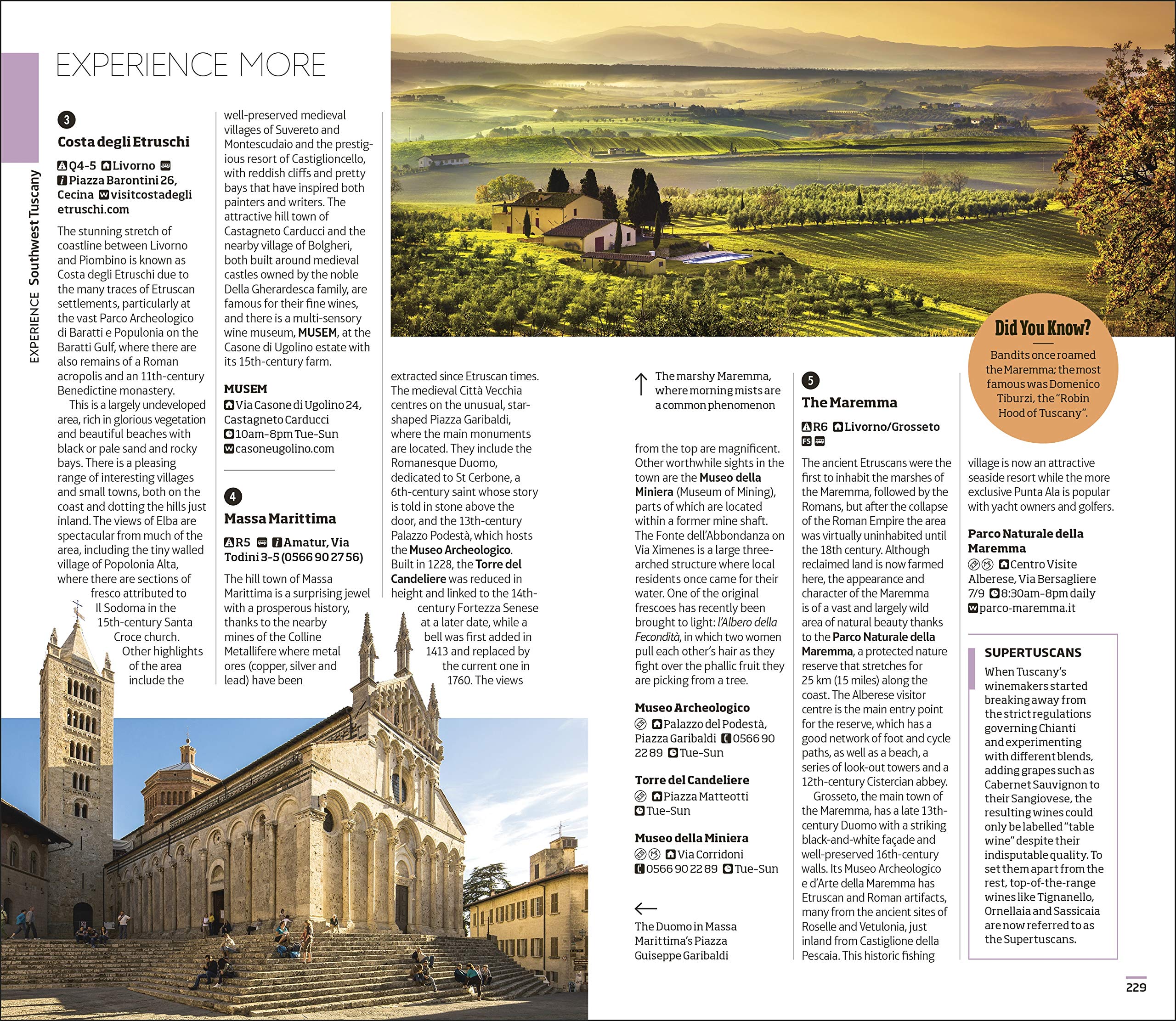 着後レビューで 送料無料 イタリアーフィレンツェの英語ガイドブック Dk Eyewitness Travel Guides Florence Tuscany オールカラービジュアルガイド Www Isend Com Br