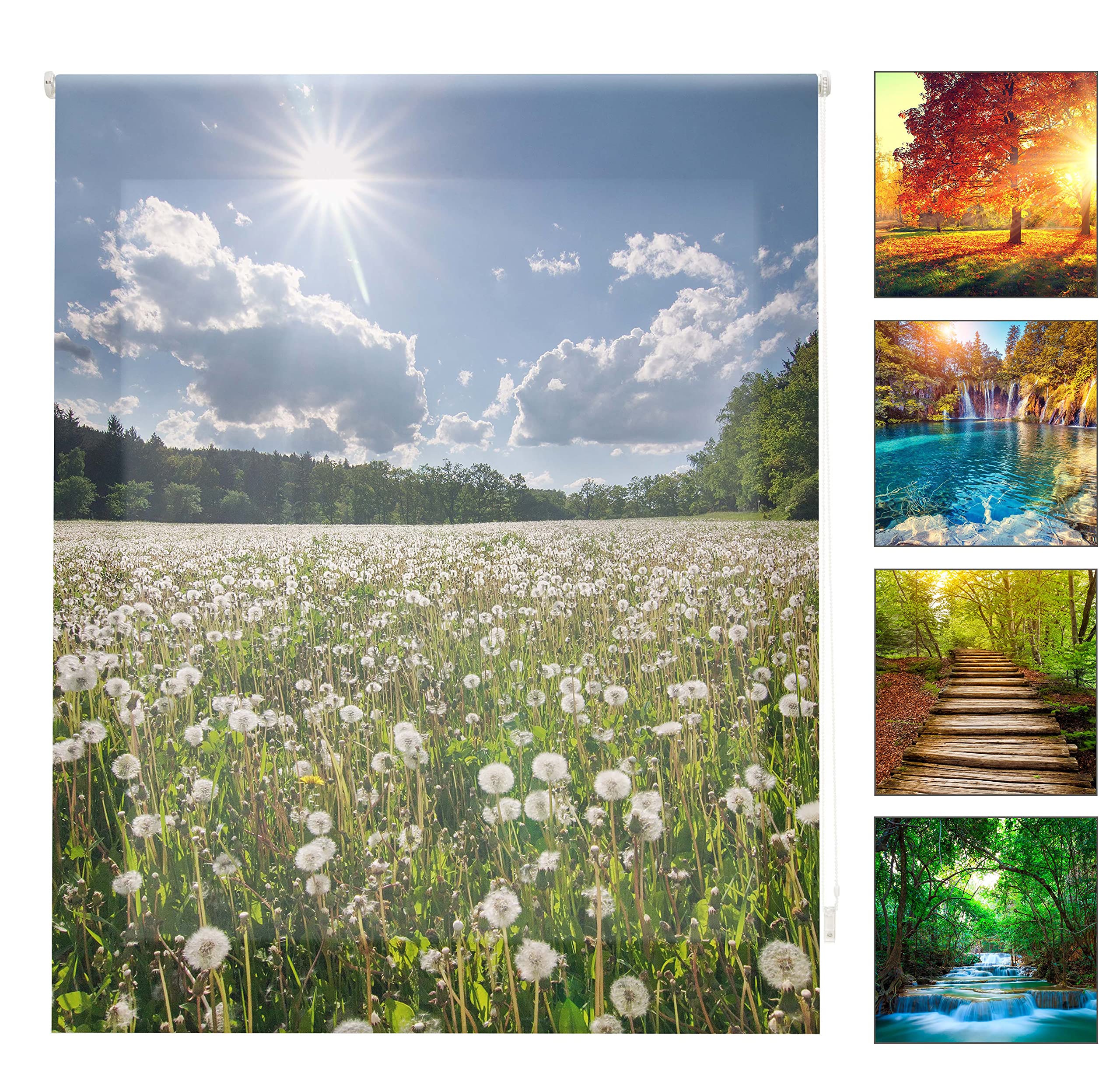 blindecor w-p-45058 – Roller Translucido Digital Print, 130 x 180 cm