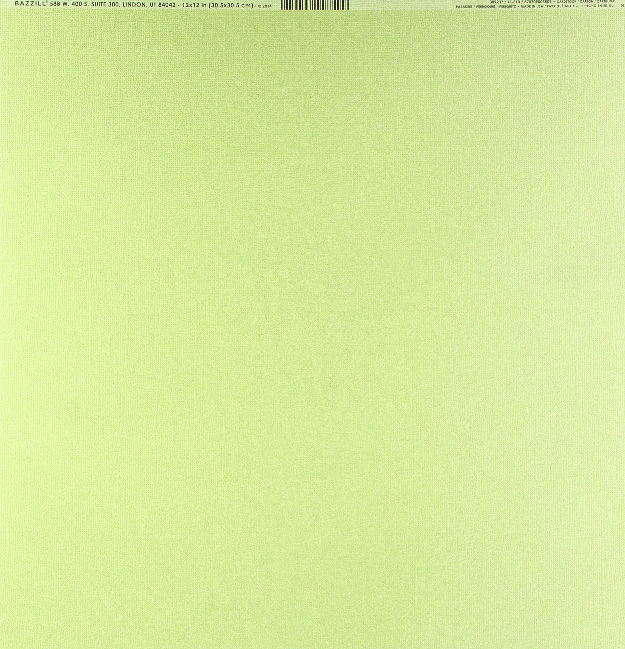 Bazzill Basics Paper 25 Scrapbooking Sheets Canvas Texture, Parakeet