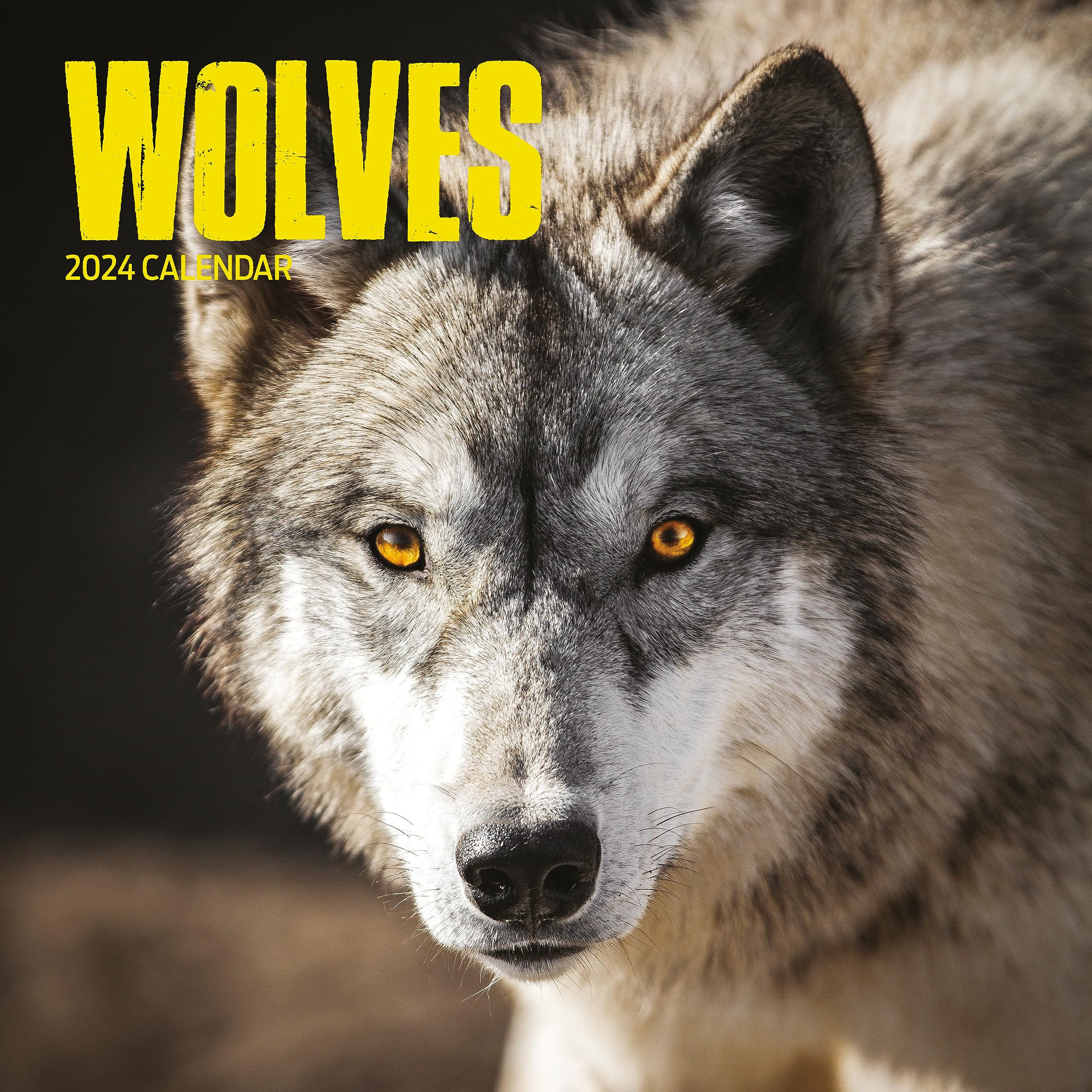 Wolves 2024 Calendar